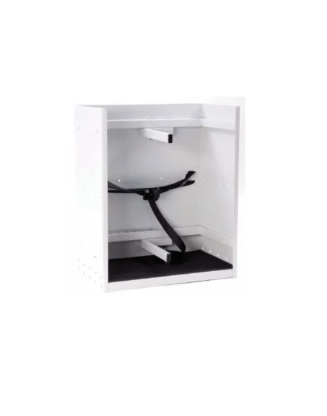 RSGBH-41 gas cabinet